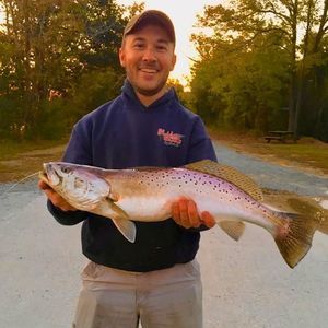 Meet your Posher, Kendall